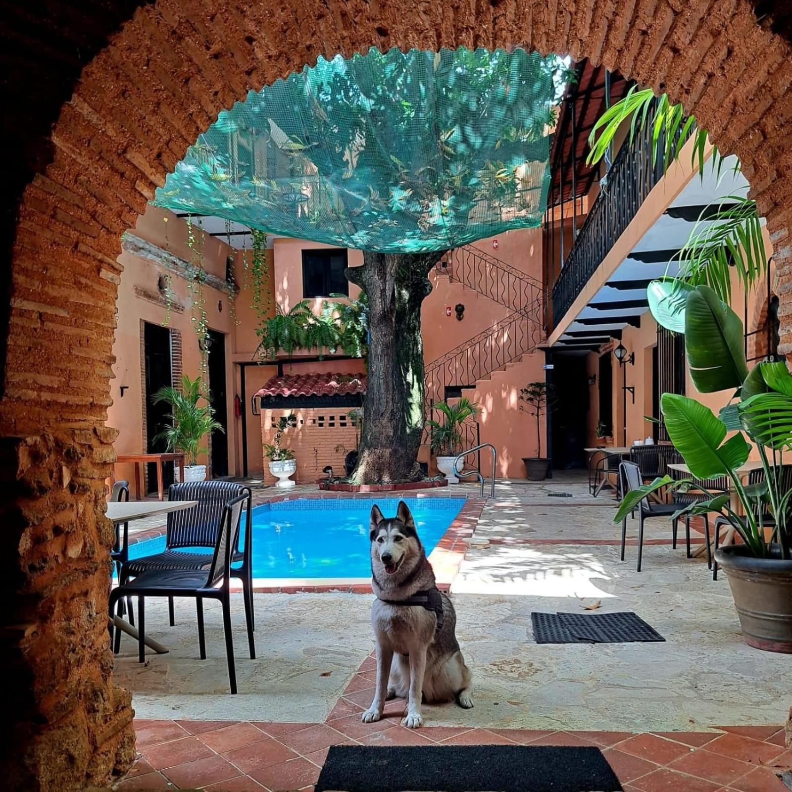 Historic Colonial Boutique Hotel Pool Jacuzzi Bar Restaurant By Aa Group Santo Domingo Exterior photo